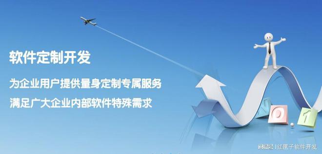 杏彩体育，中国十大软件公司排名